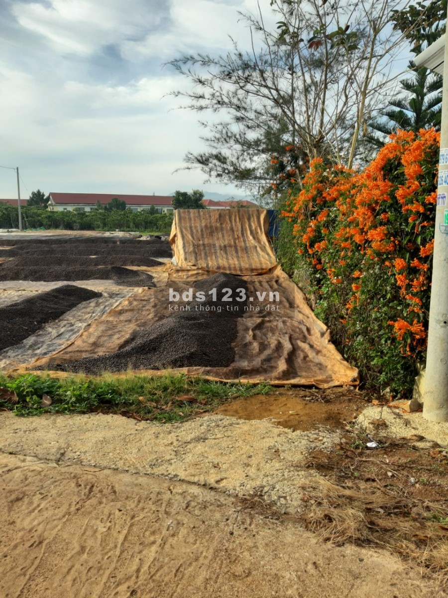 Bán đất trung tâm P Lộc Phát, Bảo Lộc ( 0706840274 chính chủ )