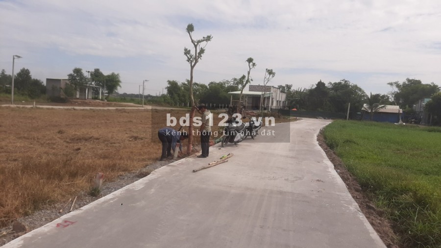 ĐẤT GIÁ RẺ TẠI ẤP BÀU TRAI THƯỢNG TÂN PHÚ ĐỨC HÒA LONG AN