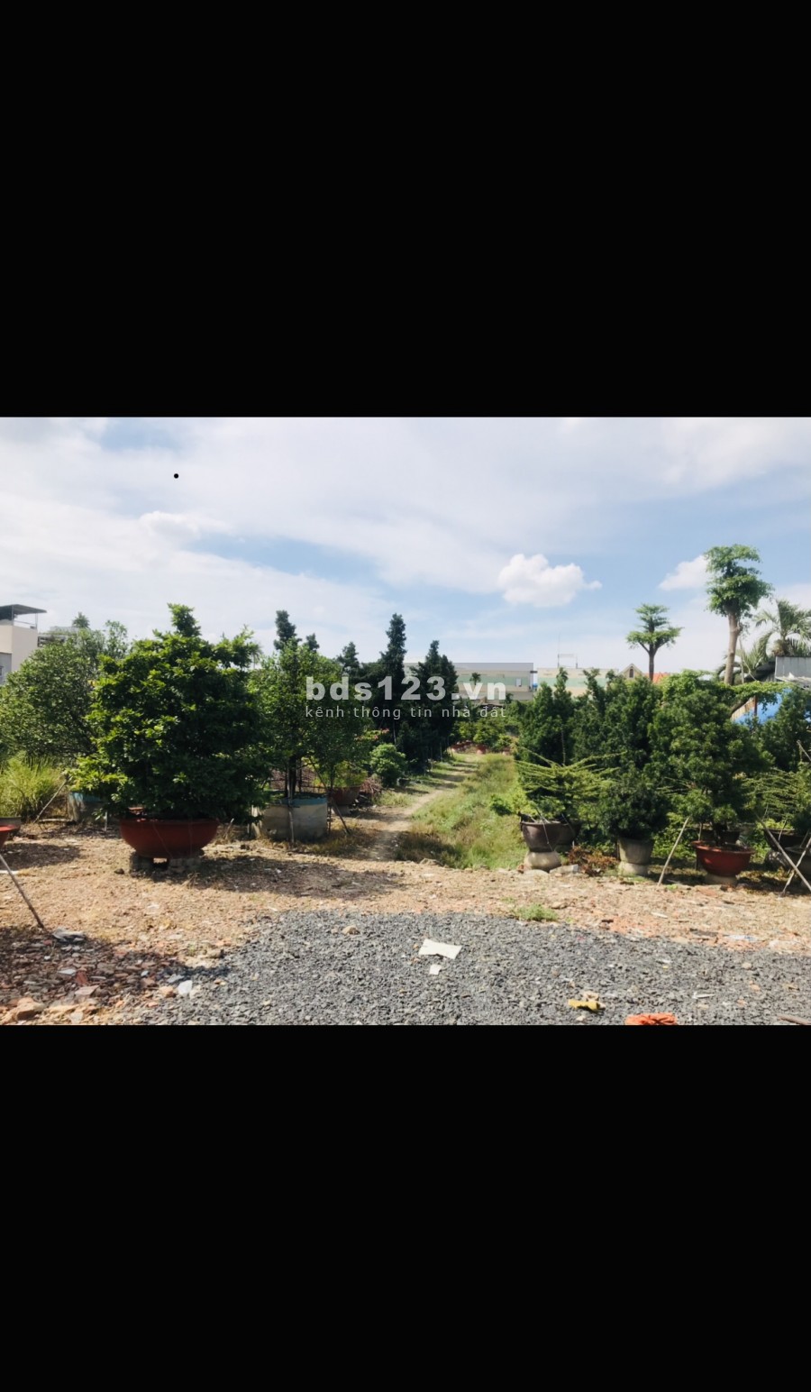 Cho thuê đất 9000m2 MT An Phú Đông Q12 gần nhà hàng Bến Xưa