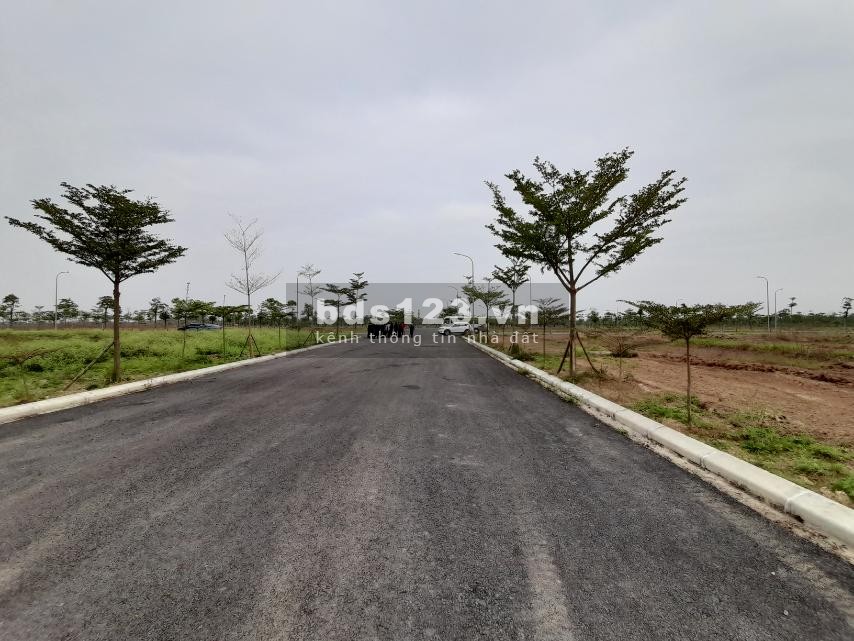Số đỏ trao tay Ra mắt 100 lô liền kề Đất nền Đồng Kỵ, Từ Sơn, Bắc Ninh