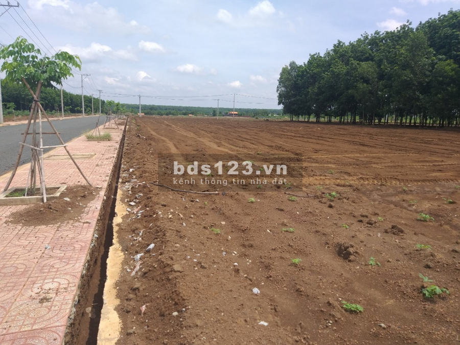  Bán đất gấp lô ngang 6 dài 20m, ngay chợ Đồng Xoài