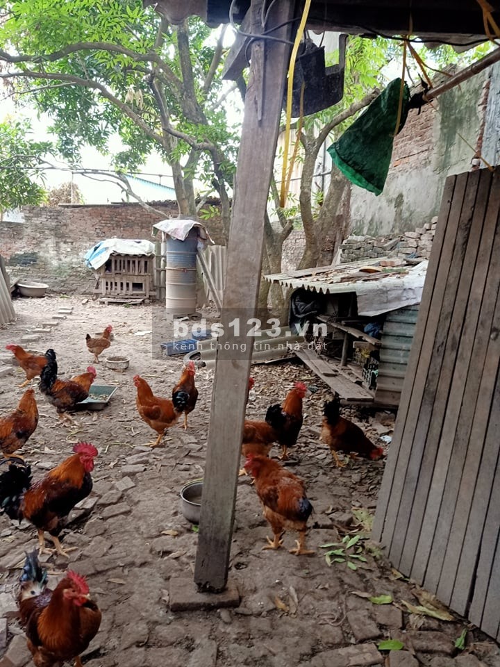 Chính chủ bán gấp mảnh đất diện tích 105m2.