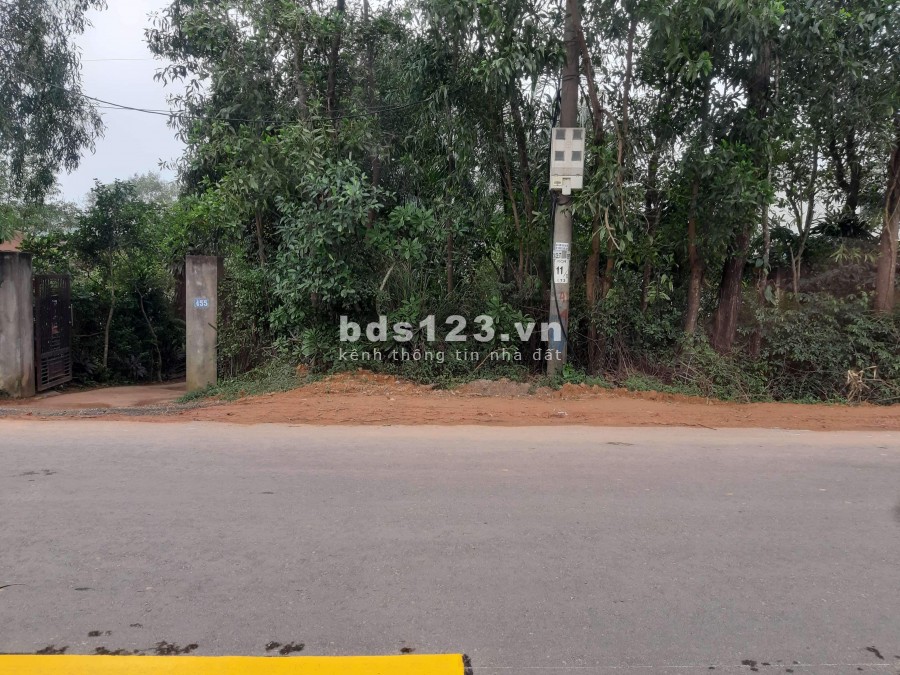 Bán đất mặt tiền Phan Đình Phùng - Bắc Lý, 10 x 25m, đường 36m, giá đầu tư