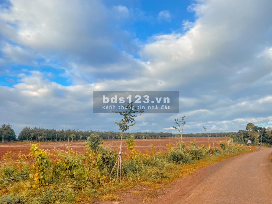 1000m2 đất biệt thự ven hồ Gia Lai chỉ 1 tỷ, toàn bộ full thổ cư