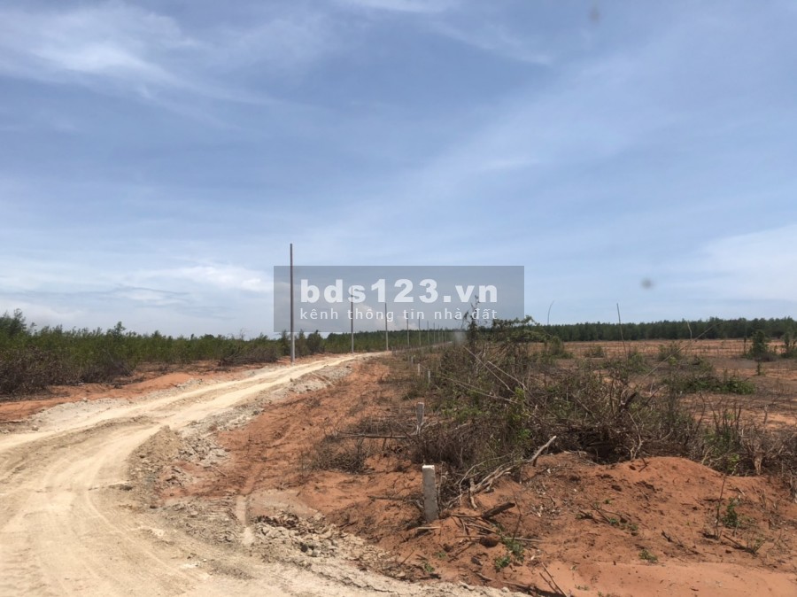 ĐẤT THẢO NGUYÊN GẦN NOVAWORLD, Bàu Trắng