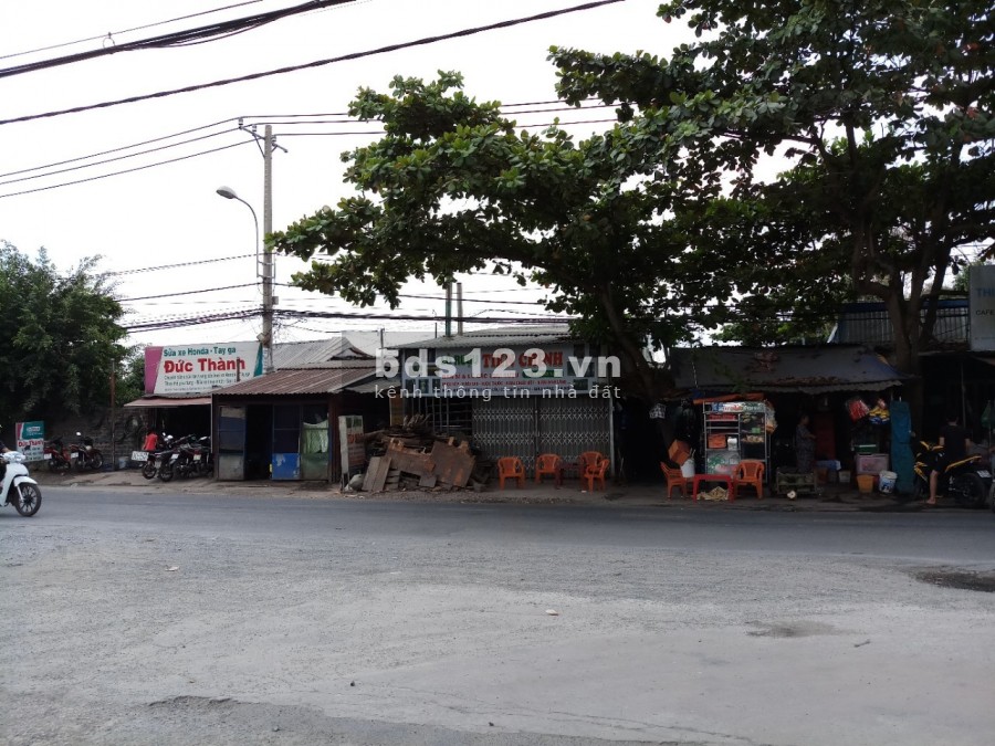 Cần bán nhà đất đã có thổ cư dt 825m2