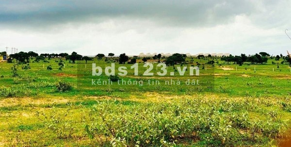 Bán đất vườn ven biển Bình Thuận, đón đầu xu hướng nghỉ dưỡng, SHR giá chỉ từ 60.000đ/m2