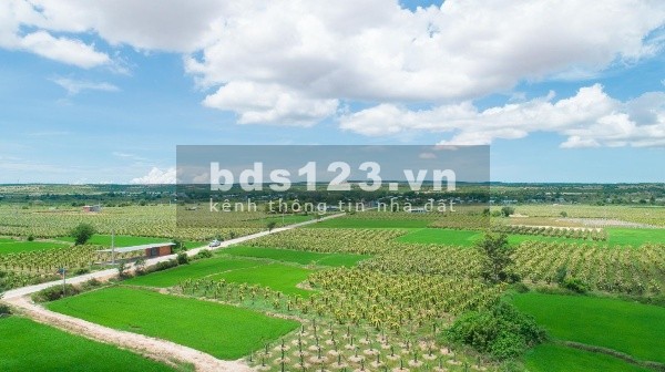 Bán đất vườn ven biển Bình Thuận, đón đầu xu hướng nghỉ dưỡng, SHR giá chỉ từ 60.000đ/m2