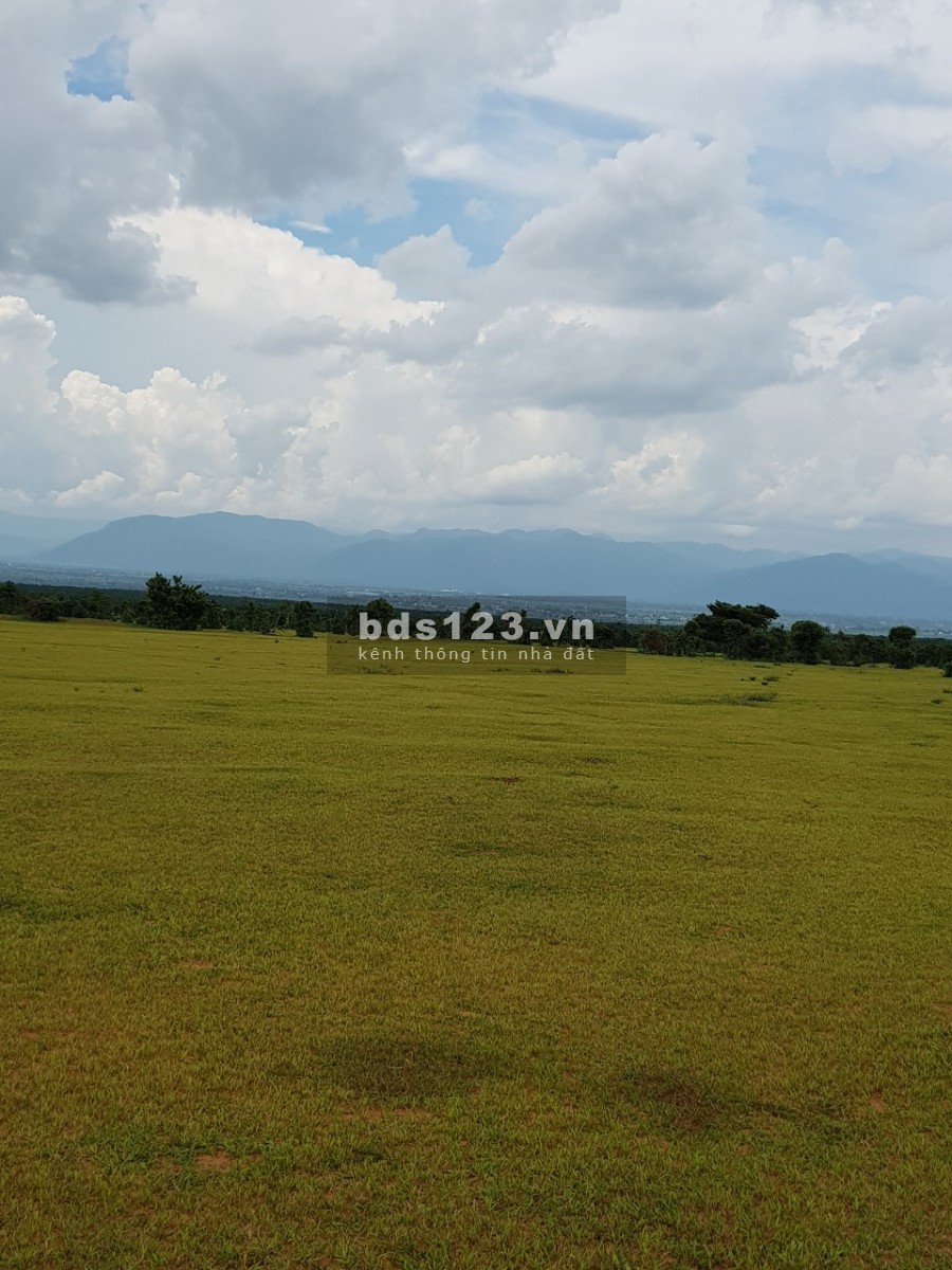 Bán 11,847m2 đất nông nghiệp hồng thái, bắc bình sổ sẵn chỉ 710tr Lh 0938677909 Hiền xem sổ