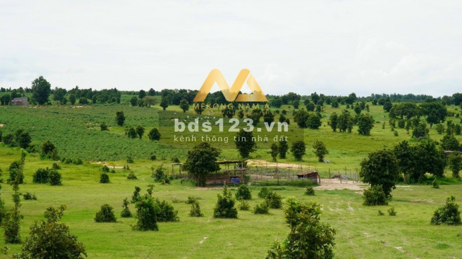 Cần bán Lô sổ vuông, có đường trên sổ, vị trí cách QL1A 1Km