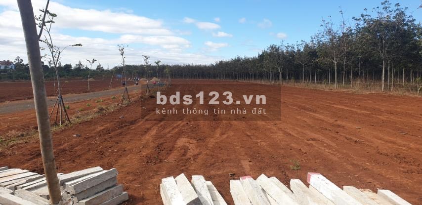 Bán Đất Nền Sổ Đỏ Cạnh Khu Công Nghiệp Lớn Nhất Tây Nguyên