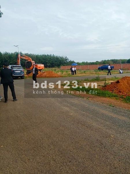 Món hời đầu tư vào dịp cuối năm