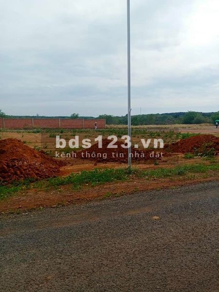 Món hời đầu tư vào dịp cuối năm