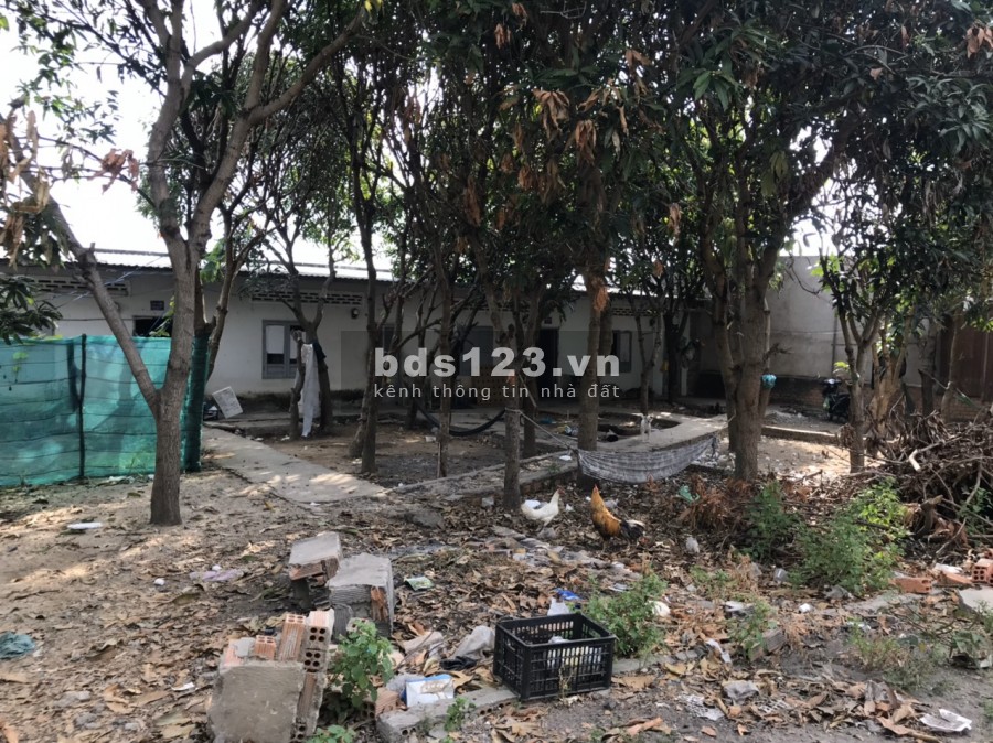 Chính chủ bán gấp nhà c4 100m2 hẻm ô tô đường Đô Lương giá 980 triệu