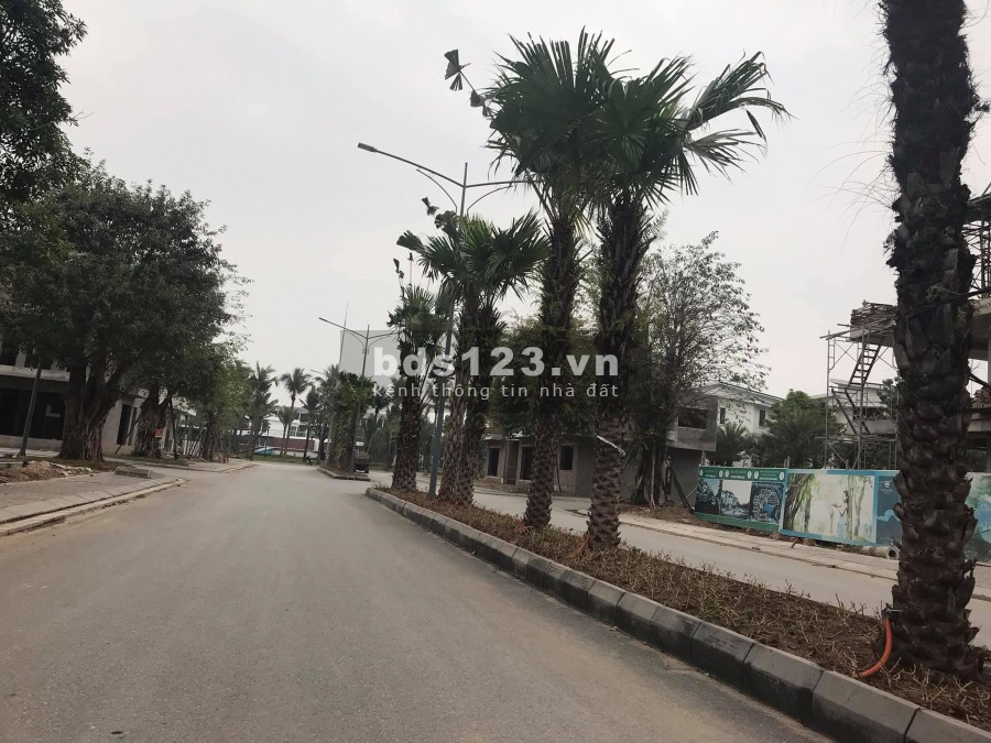 Bán biệt thự Ecopark, HD lô góc, 200m2, mặt tiền 10, 3.5 tầng, khu trung tâm