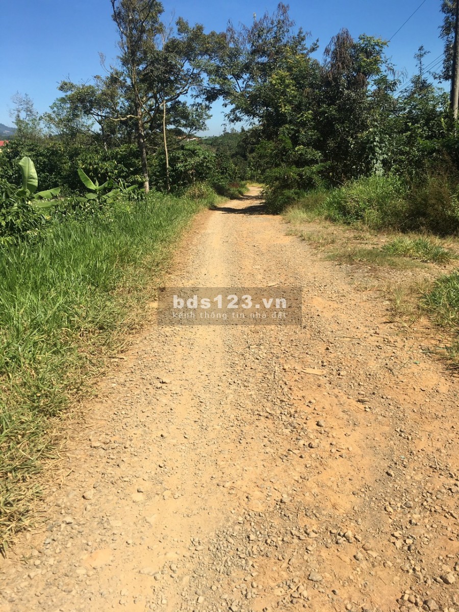 Vườn nghỉ dưỡng Lộc Nam Tp Bảo Lộc bán trong 15 ngày.