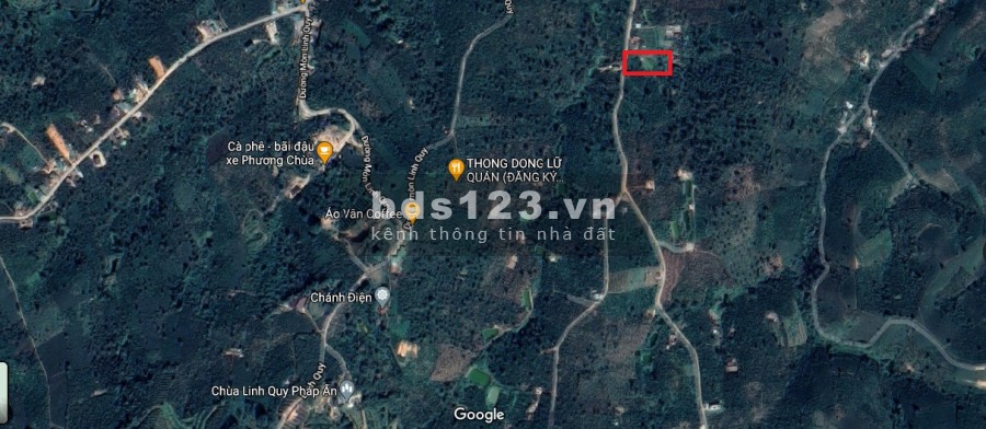Vườn nghỉ dưỡng Lộc Nam Tp Bảo Lộc bán trong 15 ngày.