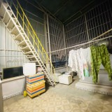 Bán Nhà chưa qua kinh doanh ĐS9, P16, GV Giá: 6,8tỷ hxh vào nhà(83m2, 3 tầng thích hợp đầu tư)
