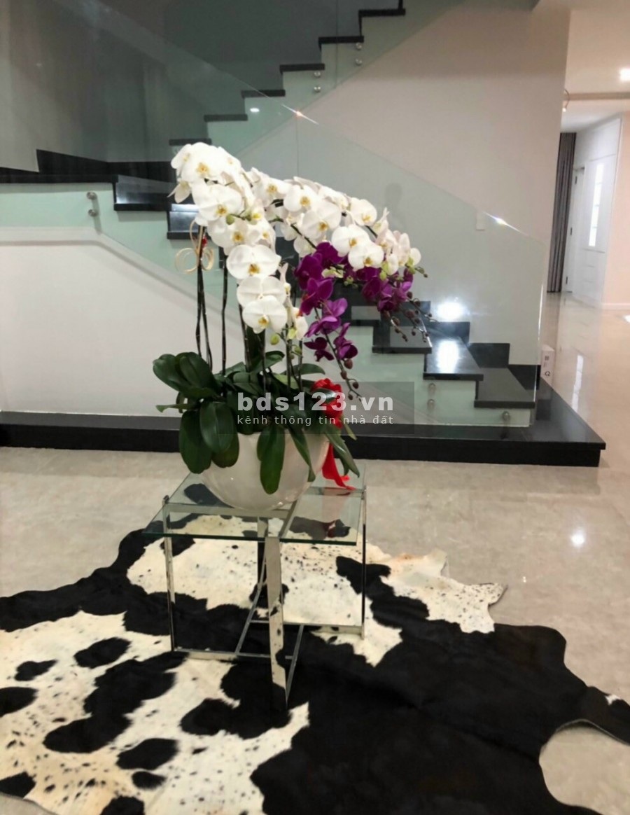 Bán tòa nhà Leman luxyry offices 117 Nguyễn Đình Chiểu Phường 6 Quận 3