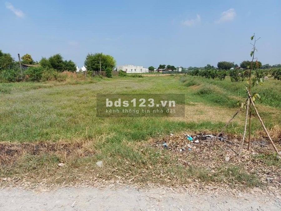 Tôi chính chủ kẹt tiền xoay không ra nên bán gấp lô đất 1100m2