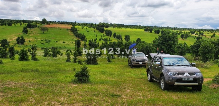 Bán đất vườn sổ đỏ sẵn- an tâm pháp lý, gần khu du lịch Bàu Trắng, bao trọn gói từ A- Z