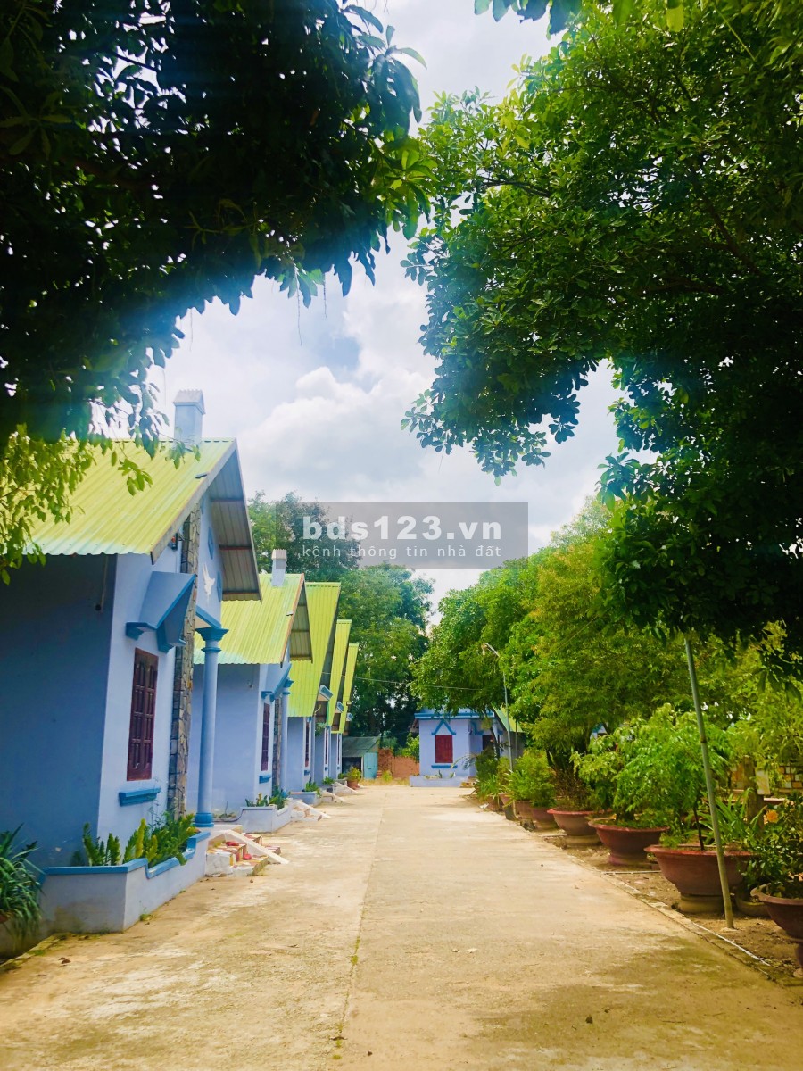 Đất MT QL 1A có sẵn doanh thu ngay ngã ba Lagi Bình Thuận