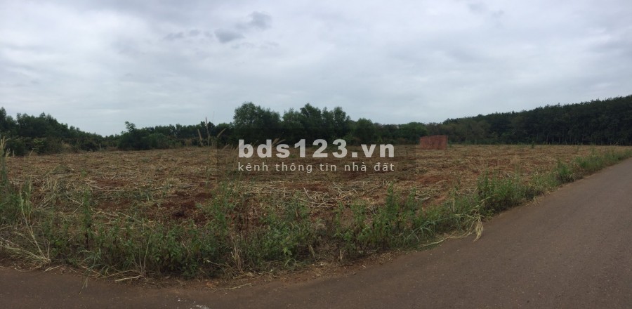 Bán đất giá TỐT NHẤT THỊ TRƯỜNG, tại mặt tiền đường Phước Bình, gồm 1000m2