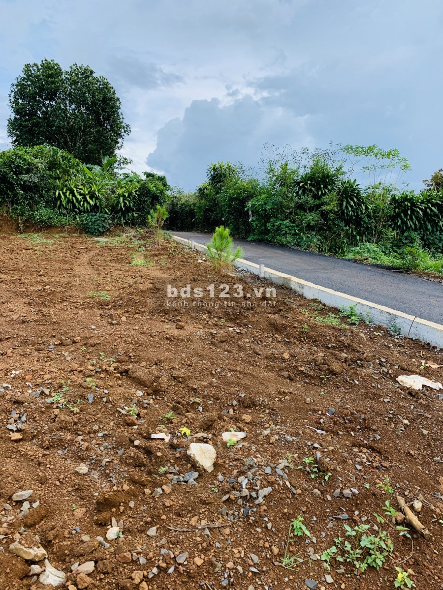 Đất Thổ Cư Chính Chủ Trung Tâm P2 - Tp Bảo Lộc 190M2 - 799 Triệu