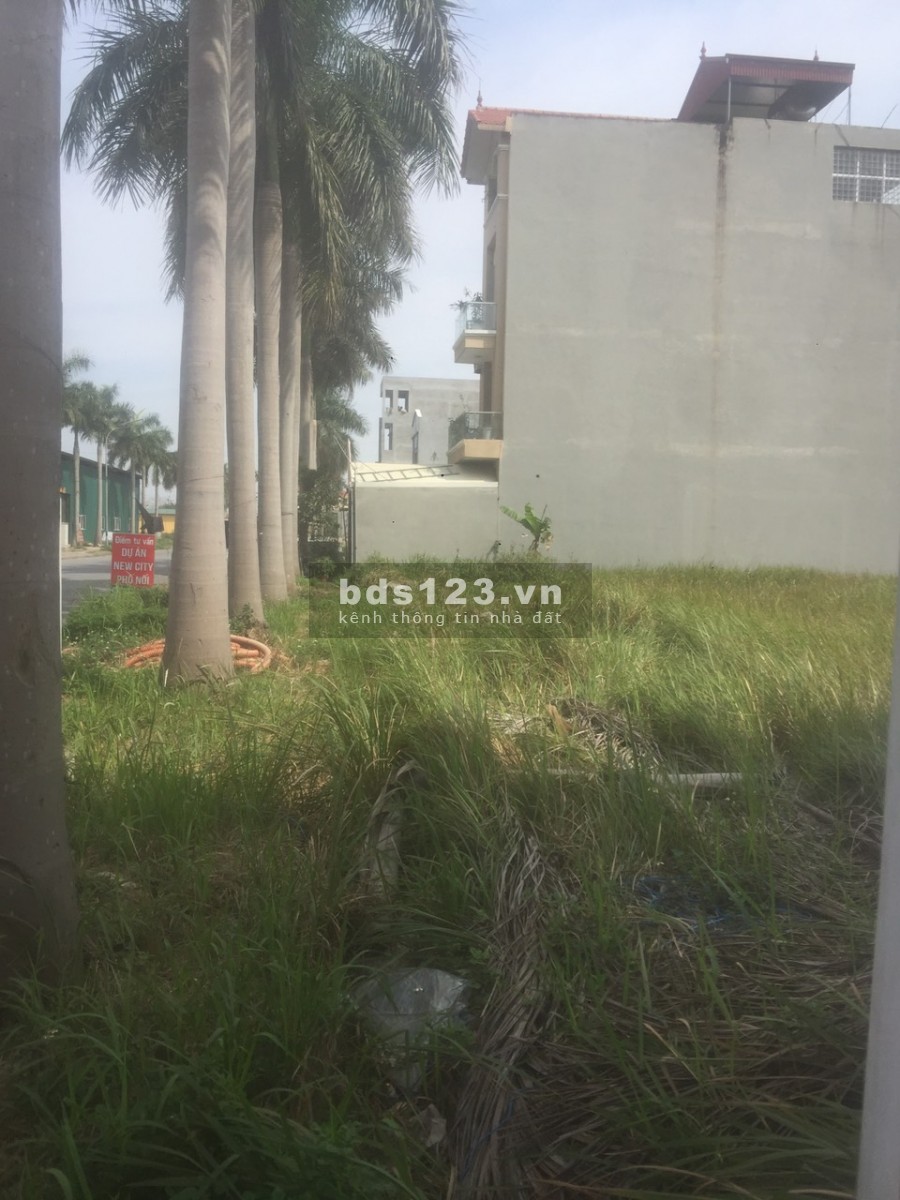 Bán 5 lô đất khu A giai đoạn 1 tại newcity phố nối hưng yên