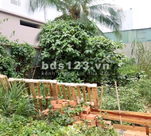Đất ds12, Trường Thọ - gần trường CĐCN Thủ Đức/SHRCC/ đẹp căng đét