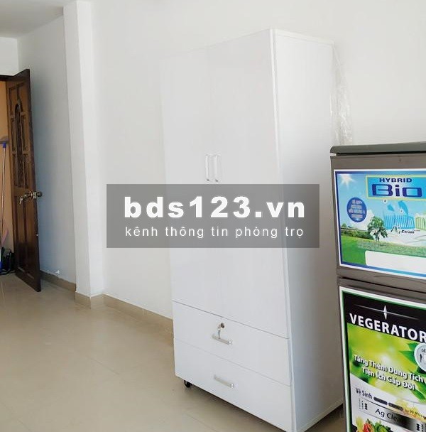 Cho thuê CHDV Lý Chính Thắng - Nam Kỳ Khởi Nghĩa Quận 3 chợ Tân Định