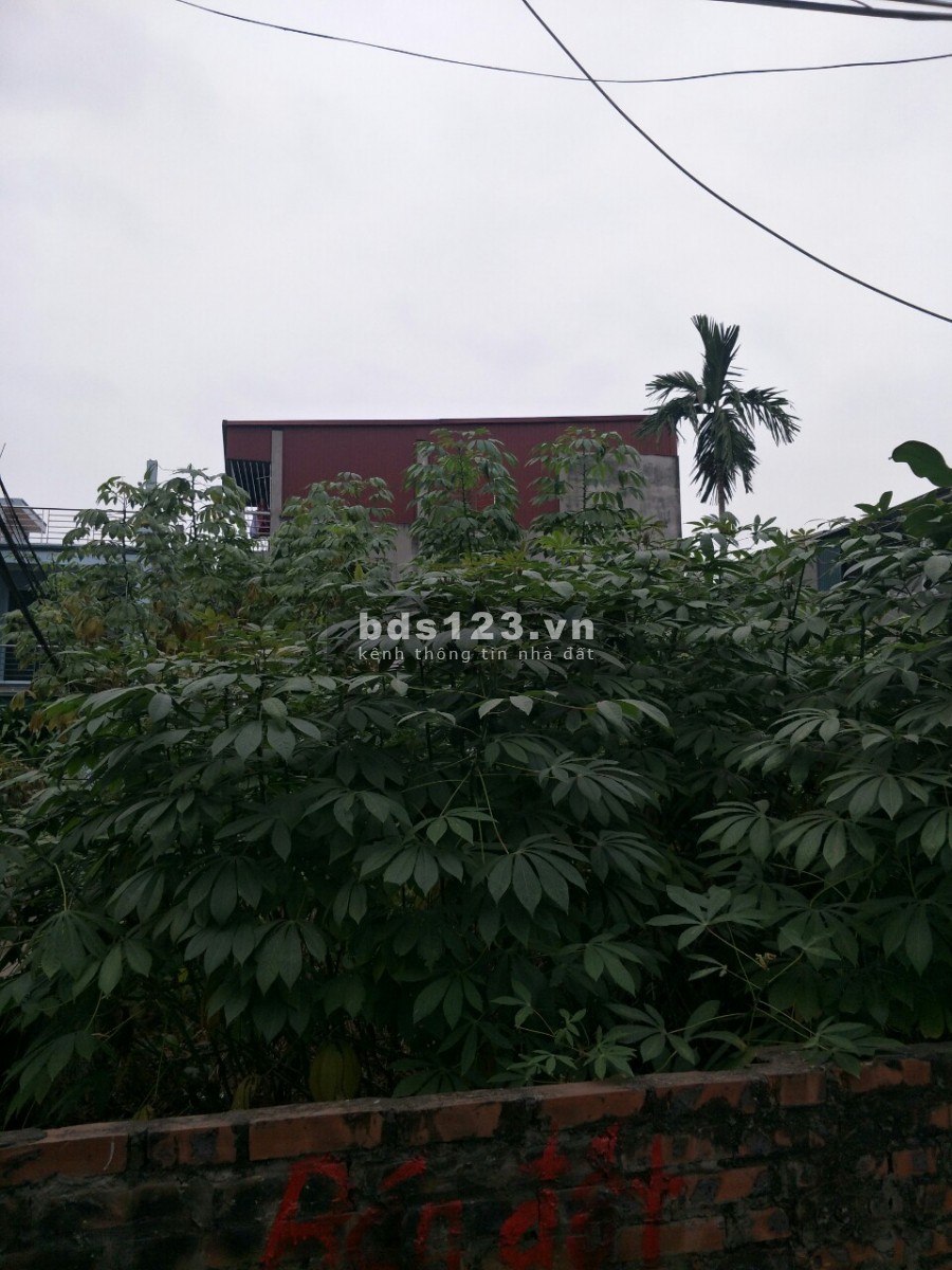 Bán gấp mảnh đất Tổ 13 Thạch Bàn 90m2 x 5.5m mặt tiền, 3.95 tỷ, ngõ thông Ô tô, Lô góc