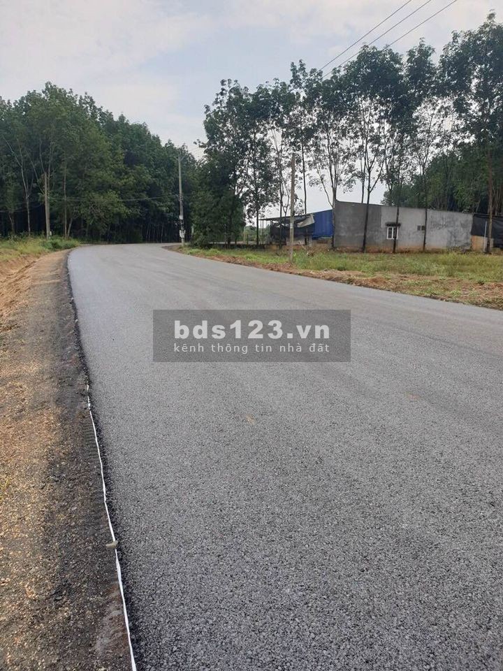 Bán gấp lô đất xây nhà diện tích 1500m2 tách 3 nền giá 430trieu/ nền