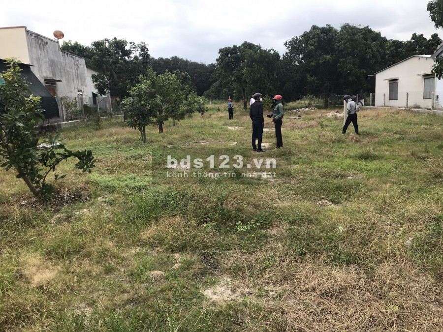 Đất nền thôn Tân Phú xã Cam Thành Bắc Cam Lâm Khánh Hòa