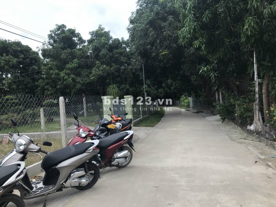 Đất nền thôn Tân Phú xã Cam Thành Bắc Cam Lâm Khánh Hòa