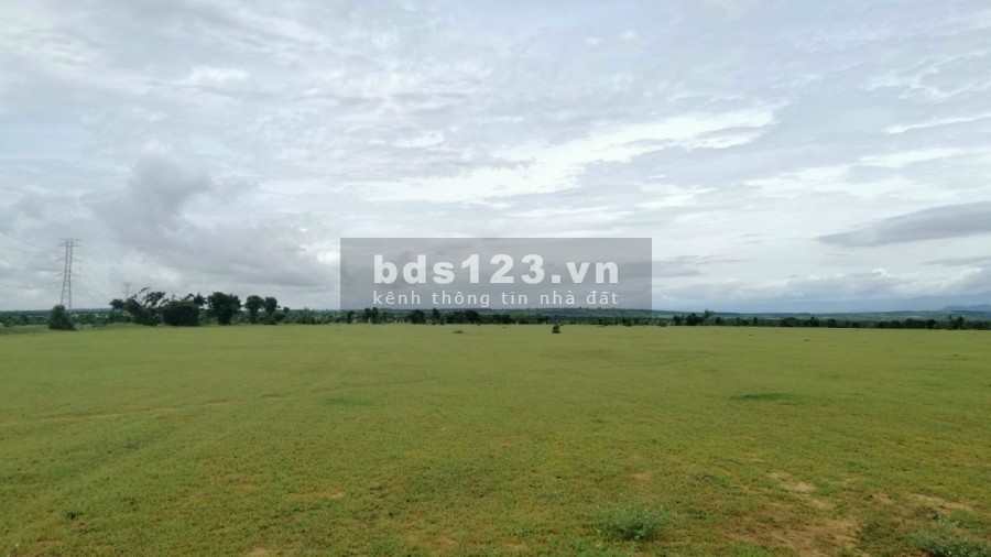 Mua đất sổ đỏ Bình Thuận đón đầu cao tốc, sân bay, đường liên huyện liên xã, giá chỉ từ 60.000đ/m2
