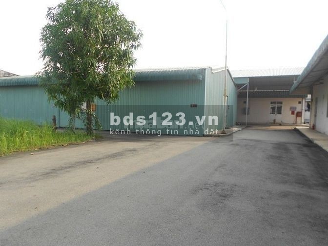 Chính Chủ Cho Thuê Kho Giá rẻ 3 triệu/ tháng