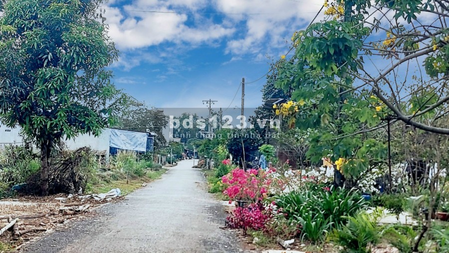 Chính chủ cần bán lô đất MT Bàu Cạn giá 2,3tr/m2. Sổ hồng công chứng ngay. Lh 0393 760 544