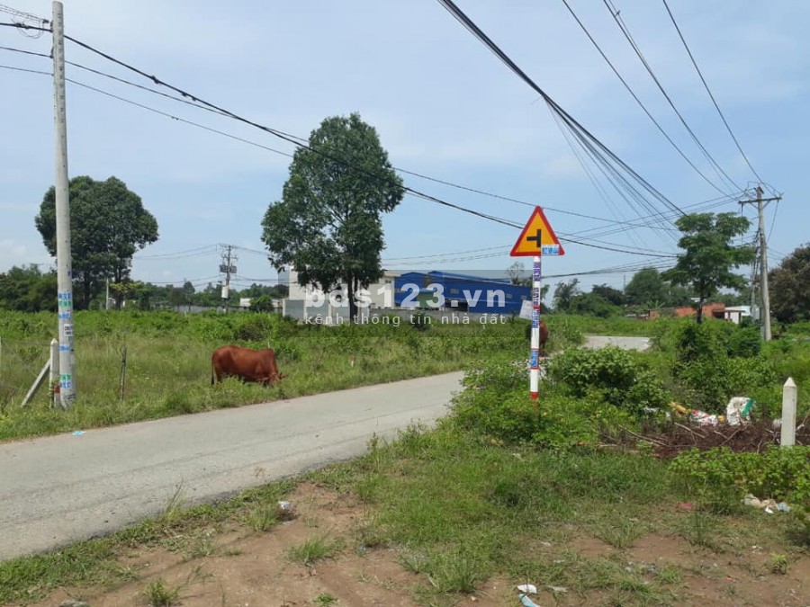 Đất trong khu dân cư bán gấp trong tuần giá 590 triệu (có thương lượng)