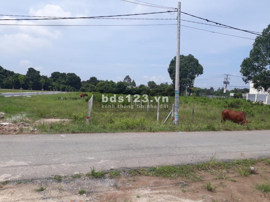 Đất trong khu dân cư bán gấp trong tuần giá 590 triệu (có thương lượng)