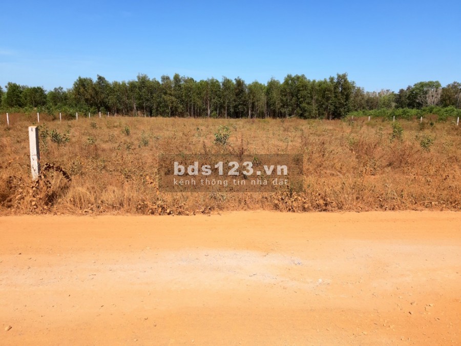 Cần tiền cuối năm bán nhanh 5691m2 tại Tiến Thành, TP. Phan Thiết