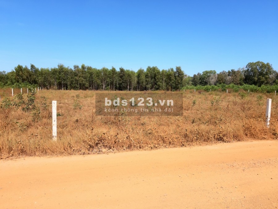 Cần tiền cuối năm bán nhanh 5691m2 tại Tiến Thành, TP. Phan Thiết
