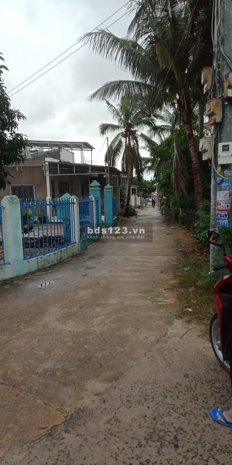 Đất ven đô giá rẻ Cam Lâm Khánh Hoà