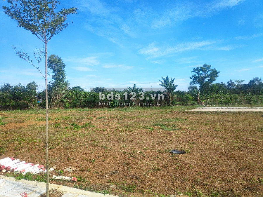 Đất ngay trung tâm hành chính Thị Trấn Trảng Bom