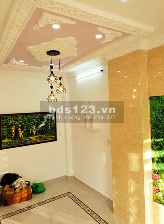 Biệt thự sân vườn HXH 1422 Huỳnh Tấn Phát, P.Phú Mỹ, Q7