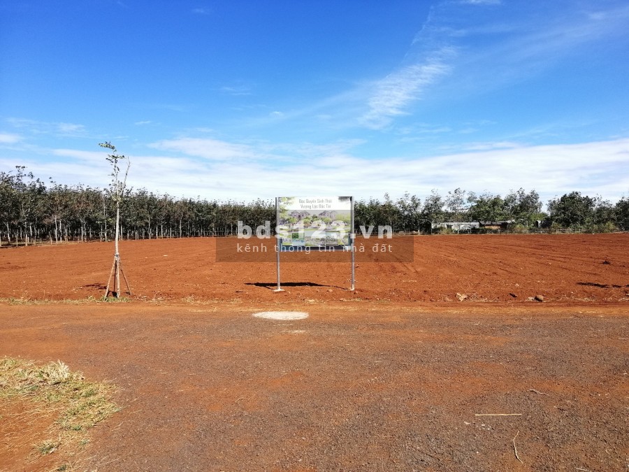 Đất nền giá siêu hấp dẫn, sổ hồng trao tay Chư Sê, Gia Lai
