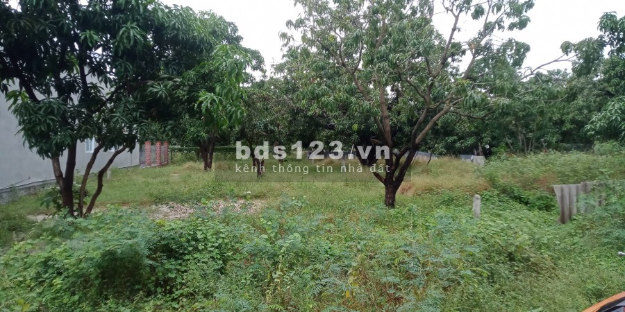 Đất ven đô giá rẻ Cam Lâm Khánh Hoà
