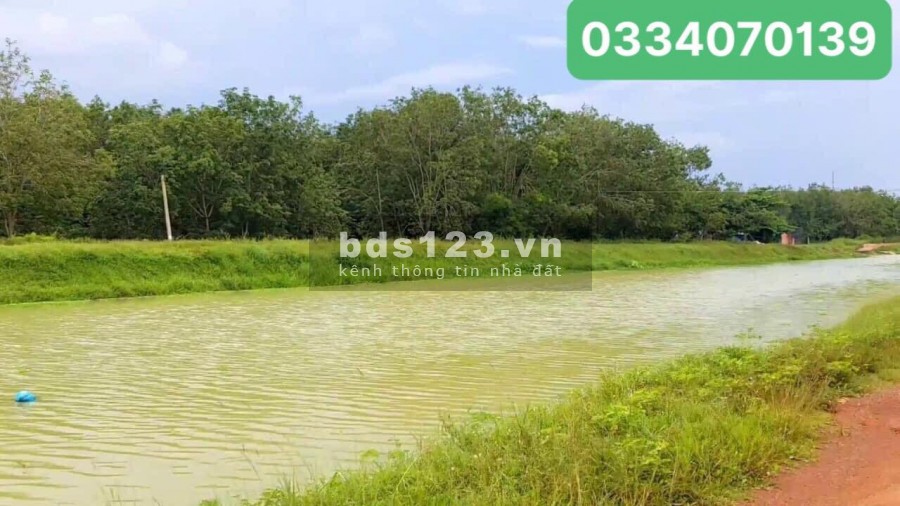 Bán đất Thị trấn Châu Thành, Tây Ninh Ngay Chợ