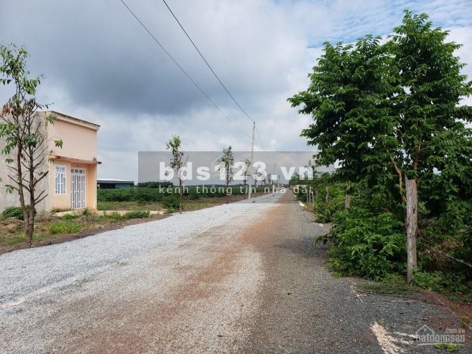 Muốn bán 390 triệu đất rộng hơn 2000m2 gần khu công nghiệp