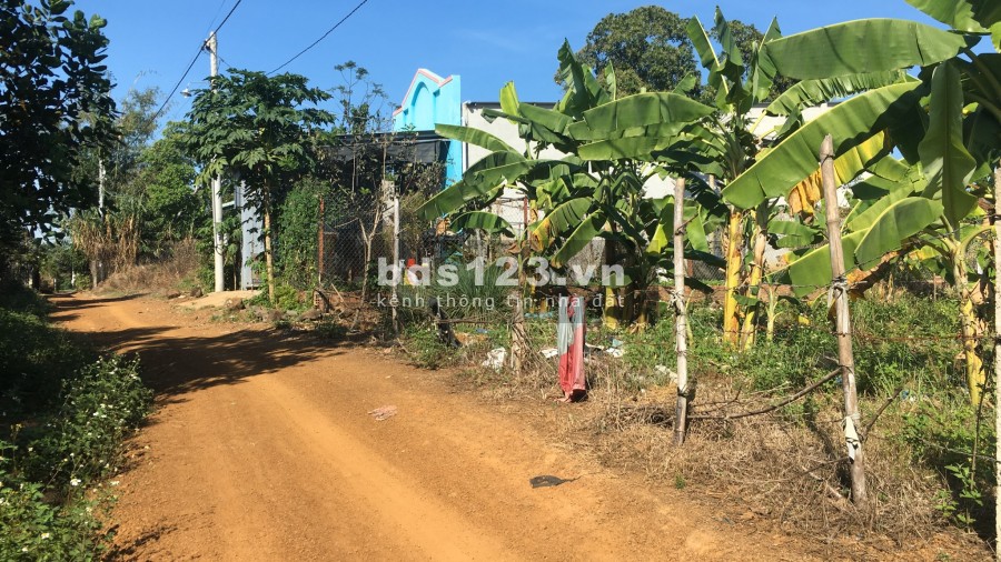 Đất ấp 94 gần KCN Dầu Giây sổ riêng bán gấp trả nợ ngân hàng.